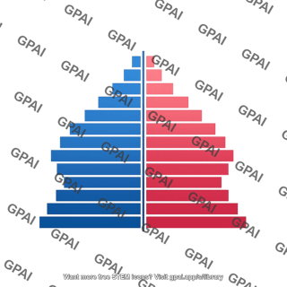 Age structure pyramid
