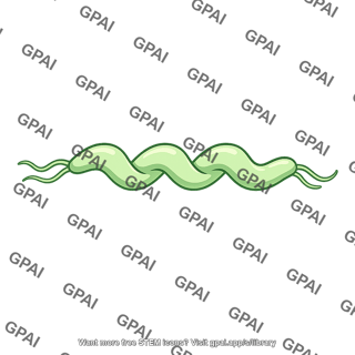 Spiral prokaryote