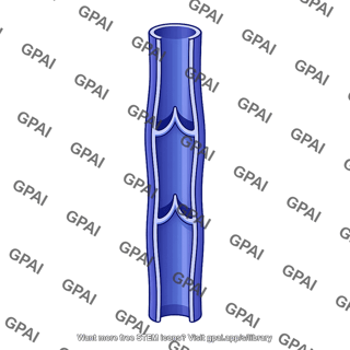 Leg vein
