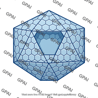 Capsid