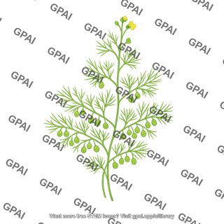 Bladderwort