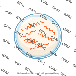 Vesicle with rna