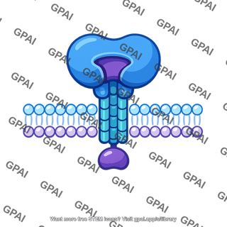 Membrane receptor protein