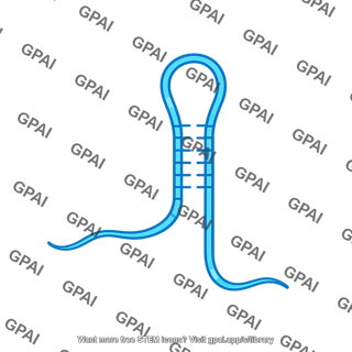 Rna precursor