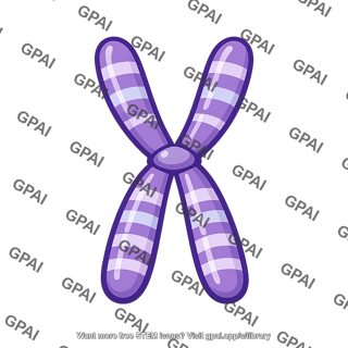 Mammalian chromosome