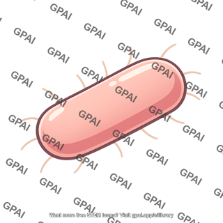 Rhizobium strain