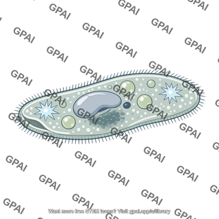 Paramecium caudatum