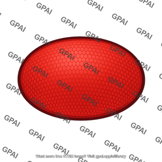Eye drosophila red
