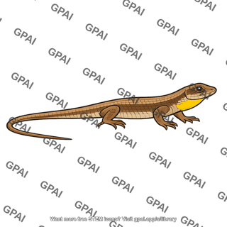 Male lizard yellow throat