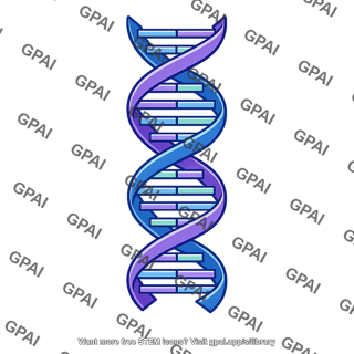 Dna double helix