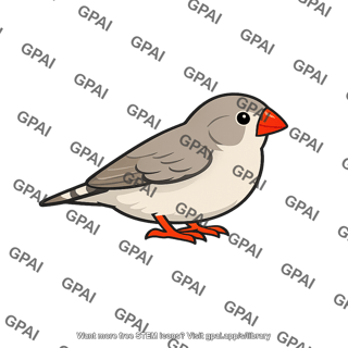 Zebra finch female non ornamented