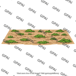 Abandoned agricultural field