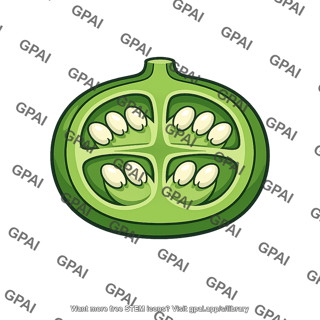 Ovary angiosperm