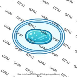 Endosymbiont