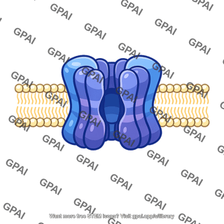 Channel or carrier membrane protein
