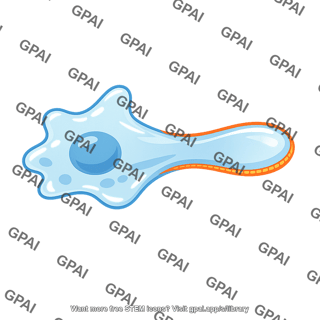 Pseudopodium extending