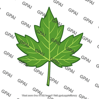 Variable lobed leaf