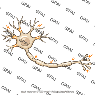 Neuron stimulated