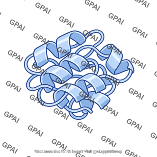 Globular protein ribbon