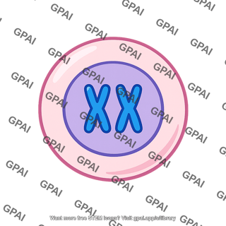 Human cell female xx