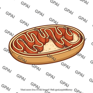 Wheat mitochondrion
