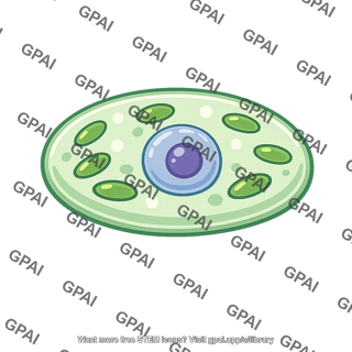 Early photosynthetic eukaryote