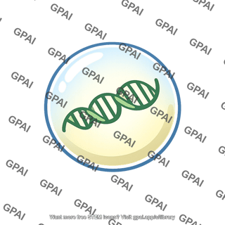 Dna in sphere