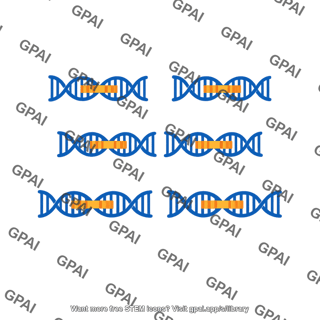 Gene amplified