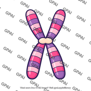 Chromosome recombined