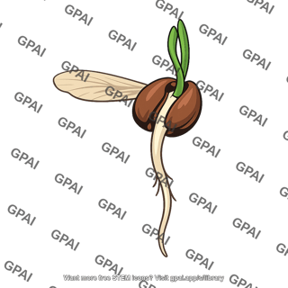 Germinating pine seed