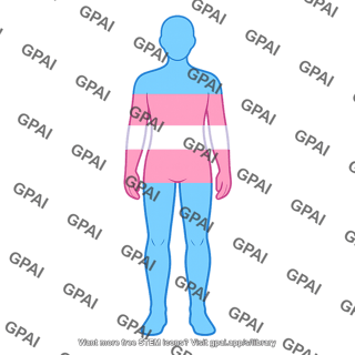 Human figure transgender