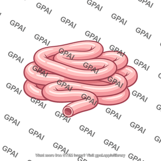 Ileum