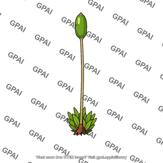 Bryophyte sporophyte
