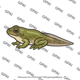 Amphibian metamorphosing