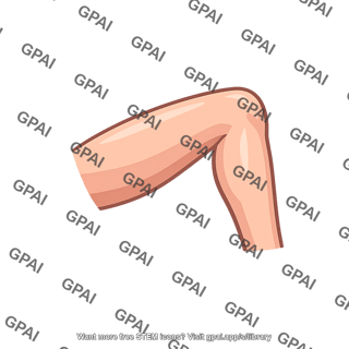 Human limb
