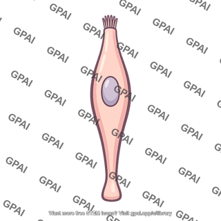 Taste receptor cell