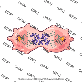 Cancer cell dividing