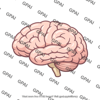 Human brain
