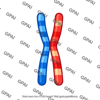 Nonsister chromatid pair