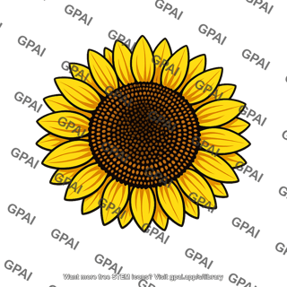 Sunflower floral head