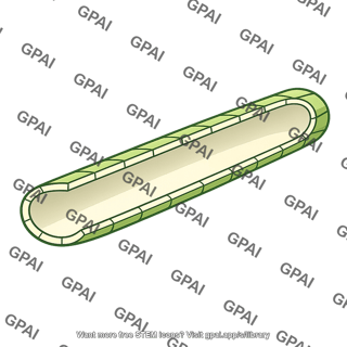 Air canal