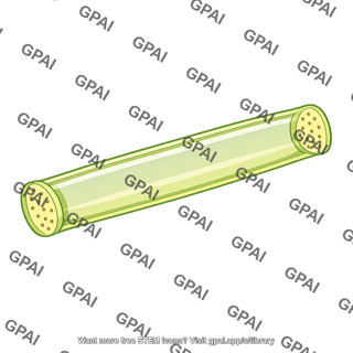 Sieve tube element