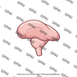 Human brain lateral view