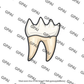 Carnivore premolar