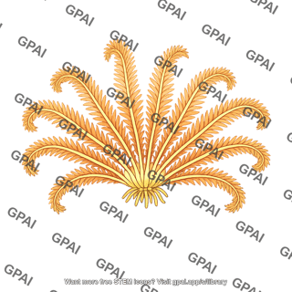 Crinoid