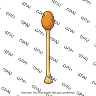 Wooden spoon