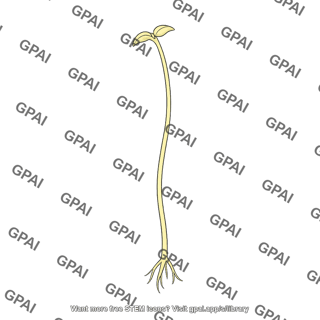 Plant etiolated