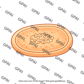 Toast with spread
