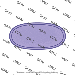 Purple oval plaque