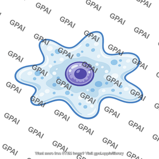 Solitary amoeba
